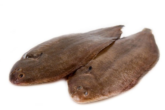 Sole